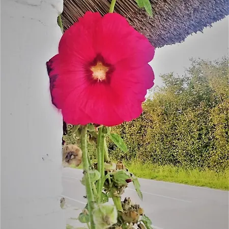 Taet Pa Langeso - Near Odense Lägenhet