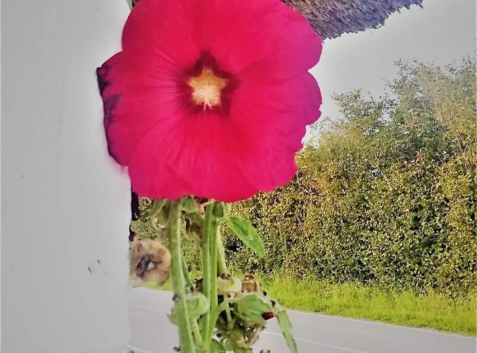 Taet Pa Langeso - Near Odense Appartement